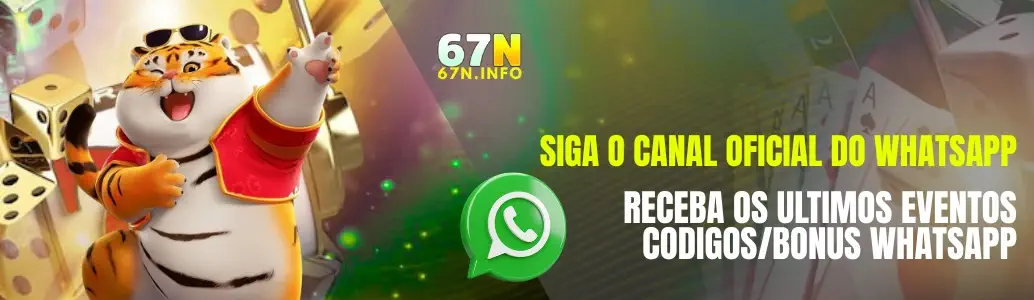 Canal Oficial do WhatsApp 67N